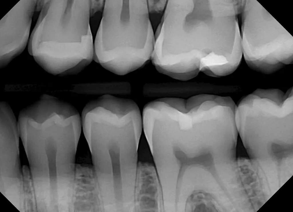 General dental consultation